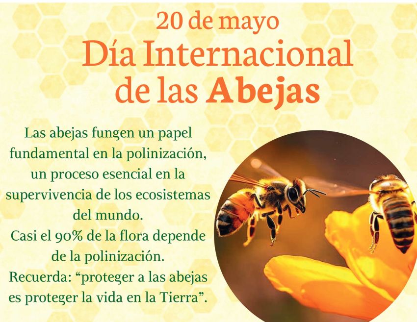 Abejas